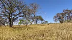 Foto 6 de Fazenda/Sítio à venda, 20000m² em Zona Rural, Alexânia