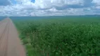 Foto 2 de Fazenda/Sítio à venda, 23000000m² em Centro, Santa Quitéria do Maranhão