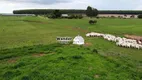 Foto 15 de Fazenda/Sítio com 4 Quartos à venda, 250m² em Centro, São Gabriel do Oeste