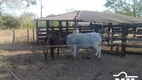 Foto 4 de Fazenda/Sítio à venda em Zona Rural, Dueré