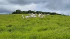 Foto 7 de Fazenda/Sítio à venda, 200000m² em , Monte Alegre