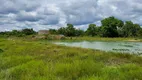 Foto 20 de Fazenda/Sítio à venda, 6135000m² em Zona Rural, Santo Antônio do Leverger