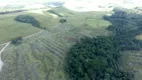 Foto 25 de Fazenda/Sítio à venda, 82000000m² em Centro, Cambará do Sul