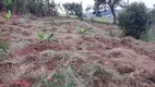 Foto 4 de Lote/Terreno à venda, 2050m² em Parque Caetê, Bragança Paulista