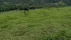 Foto 41 de Fazenda/Sítio com 3 Quartos à venda, 300m² em Faú, Miracatu