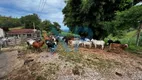 Foto 55 de Fazenda/Sítio com 3 Quartos à venda, 80m² em Zona Rural, Itaguara