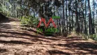 Foto 16 de Fazenda/Sítio com 3 Quartos à venda, 100m² em Descansopolis, Campos do Jordão