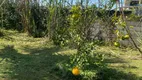 Foto 13 de Fazenda/Sítio com 3 Quartos à venda, 300m² em Jardim das Palmeiras, Itanhaém