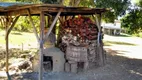 Foto 18 de Fazenda/Sítio com 5 Quartos à venda, 250m² em Sao Virgilio, Caxias do Sul