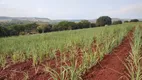 Foto 3 de Fazenda/Sítio à venda, 3872000m² em Santa Cruz da Estrela, Santa Rita do Passa Quatro