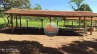 Foto 9 de Fazenda/Sítio com 2 Quartos à venda, 230000m² em Zona Rural, Hidrolândia