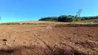 Foto 15 de Fazenda/Sítio à venda, 30000m² em Zona Rural, Pato Branco