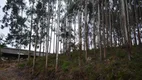 Foto 9 de Fazenda/Sítio à venda, 27418m² em Serra Grande Alema, Gramado