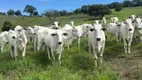 Foto 12 de Fazenda/Sítio à venda, 40000m² em Benedito Bentes, Maceió