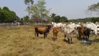 Foto 49 de Fazenda/Sítio com 3 Quartos à venda, 3900000m² em Area Rural de Porto Velho, Porto Velho