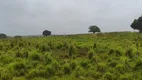 Foto 20 de Fazenda/Sítio com 3 Quartos à venda, 150000m² em Centro, Lagoa de Pedras