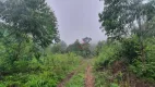 Foto 8 de Fazenda/Sítio à venda, 426000m² em Mato Queimado, Gramado