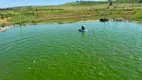 Foto 15 de Fazenda/Sítio com 4 Quartos à venda, 100000m² em Area Rural de Patos de Minas, Patos de Minas