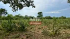 Foto 25 de Fazenda/Sítio à venda, 14036000m² em Centro, São Salvador do Tocantins