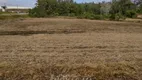 Foto 14 de Lote/Terreno à venda em Forqueta, Caxias do Sul