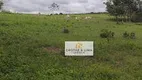 Foto 15 de Fazenda/Sítio com 8 Quartos à venda, 900m² em Setor Central, Araguaína