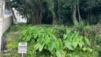 Foto 3 de Lote/Terreno à venda em Nossa Sra. das Graças, Caxias do Sul