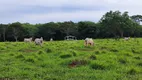 Foto 3 de Fazenda/Sítio à venda, 175000m² em Area Rural de Montes Claros, Montes Claros