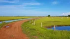 Foto 3 de Fazenda/Sítio com 4 Quartos à venda, 4800m² em Centro, Cocalinho