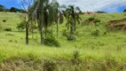 Foto 3 de Lote/Terreno à venda, 3300m² em Canto Das Aguas, Igaratá