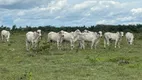Foto 17 de Fazenda/Sítio com 3 Quartos à venda, 12899920m² em Zona Rural, Divinópolis do Tocantins
