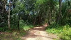 Foto 16 de Fazenda/Sítio com 4 Quartos à venda, 126m² em Zona Rural, Colinas do Sul