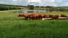 Foto 20 de Fazenda/Sítio à venda em Jardim Urano, São José do Rio Preto