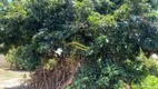 Foto 7 de Fazenda/Sítio com 2 Quartos à venda, 140m² em Area Rural de Artur Nogueira, Artur Nogueira