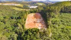 Foto 9 de Lote/Terreno à venda, 60500m² em Glebas, Franco da Rocha