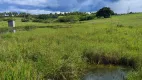 Foto 7 de Fazenda/Sítio com 2 Quartos à venda, 106000m² em Zona Rural, Monte Alegre