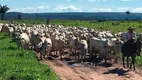 Foto 16 de Fazenda/Sítio à venda, 120000000m² em Zona Rural, Comodoro