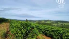 Foto 24 de Fazenda/Sítio à venda, 3000000m² em Centro, Divisa Nova