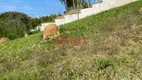 Foto 8 de Lote/Terreno à venda, 284m² em Vila Oliveira, Mogi das Cruzes