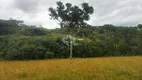 Foto 10 de Fazenda/Sítio com 5 Quartos à venda, 20000m² em Centro, Caxias do Sul