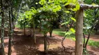 Foto 3 de Fazenda/Sítio com 2 Quartos à venda, 3770m² em Zona Rural, Hidrolândia