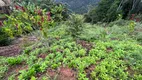 Foto 4 de Fazenda/Sítio à venda, 3880m² em , Marechal Floriano