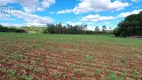 Foto 2 de Fazenda/Sítio com 1 Quarto à venda, 20000m² em Zona Rural, Ibiporã