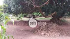 Foto 46 de Fazenda/Sítio com 5 Quartos à venda, 1000m² em Jardim América, Americana