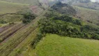 Foto 7 de Fazenda/Sítio com 3 Quartos à venda, 144000m² em Fumaca, Resende