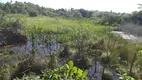 Foto 14 de Fazenda/Sítio com 3 Quartos à venda, 70000m² em Centro, Ceará Mirim