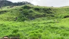 Foto 16 de Fazenda/Sítio à venda, 21200m² em Zona Rural, Delfim Moreira