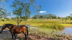 Foto 12 de Lote/Terreno à venda, 134200m² em Centro, Sarapuí