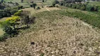 Foto 10 de Fazenda/Sítio com 2 Quartos à venda, 72000m² em Zona Rural, Jacutinga