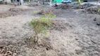 Foto 2 de Lote/Terreno à venda, 432m² em Praia de Pipa, Tibau do Sul