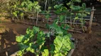 Foto 30 de Fazenda/Sítio com 2 Quartos à venda, 200m² em Nossa Senhora da Paz, São Joaquim de Bicas